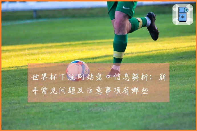 世界杯下注网站盘口信息解析：新手常见问题及注意事项有哪些
