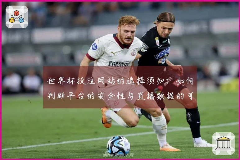 世界杯投注网站的选择须知：如何判断平台的安全性与直播数据的可靠性